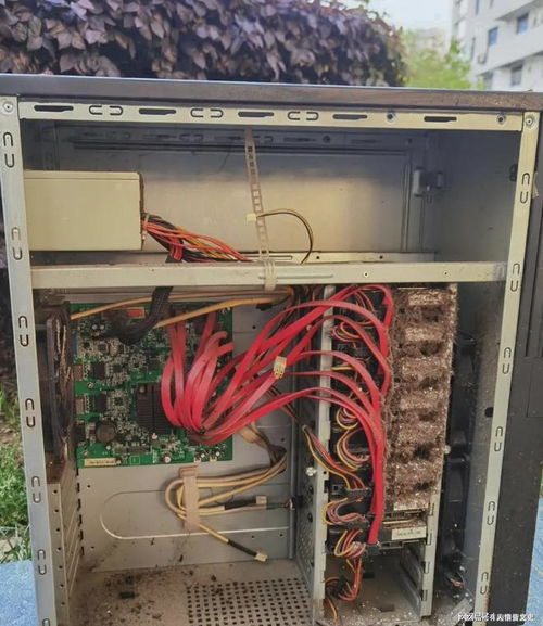 废品站的意外宝藏 15元换来的八硬盘电脑主机探秘